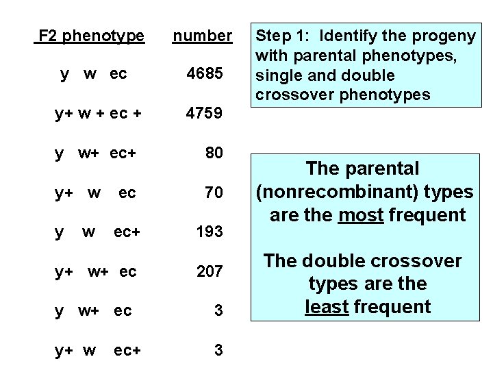 F 2 phenotype number y w ec 4685 y+ w + ec + 4759