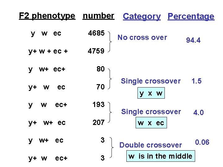 F 2 phenotype number y w ec 4685 y+ w + ec + 4759