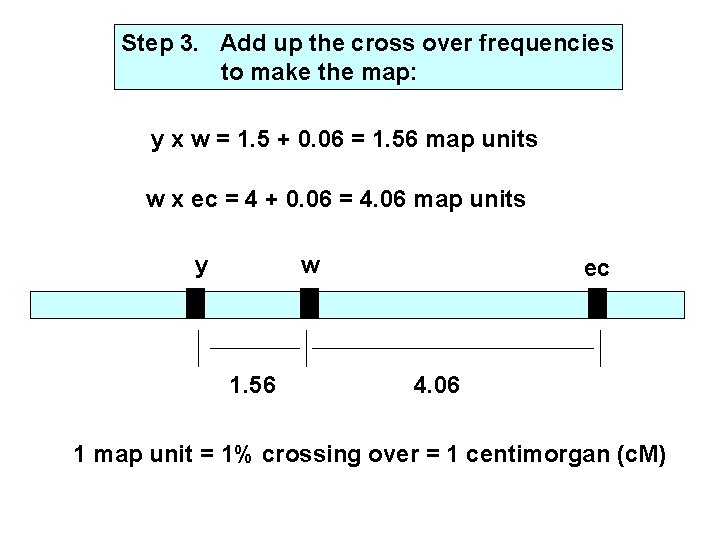 Step 3. Add up the cross over frequencies to make the map: y x