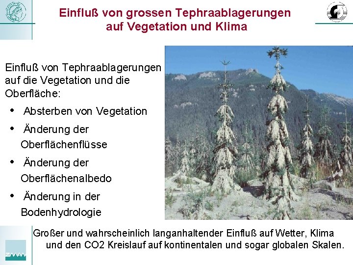 Einfluß von grossen Tephraablagerungen auf Vegetation und Klima Einfluß von Tephraablagerungen auf die Vegetation