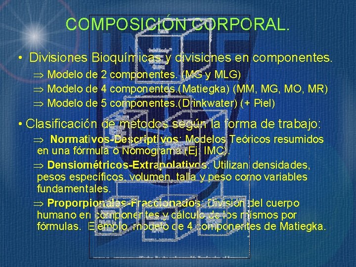 COMPOSICIÓN CORPORAL. • Divisiones Bioquímicas y divisiones en componentes. Þ Modelo de 2 componentes.