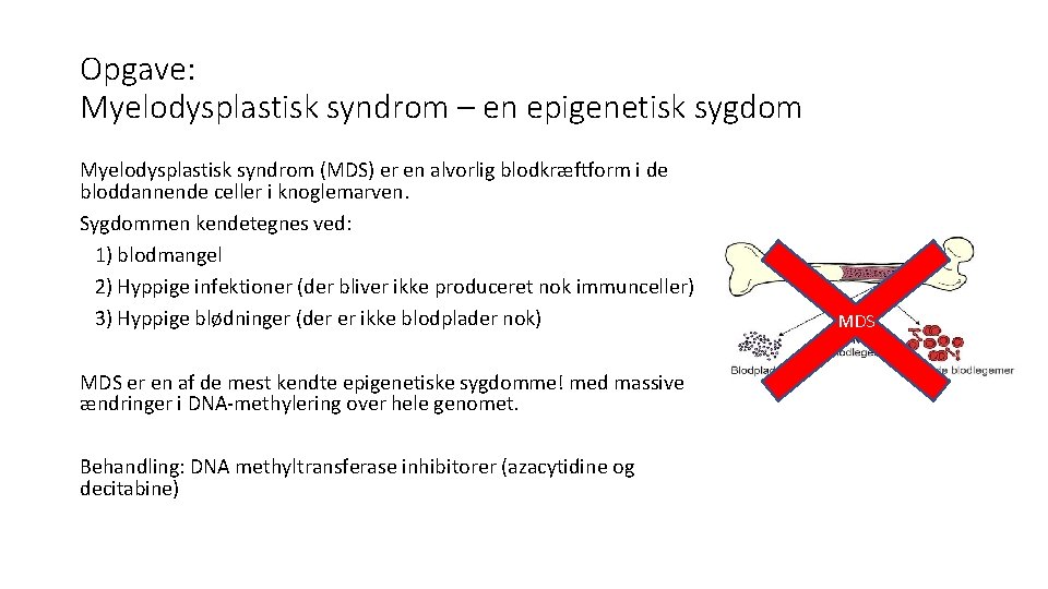 Opgave: Myelodysplastisk syndrom – en epigenetisk sygdom Myelodysplastisk syndrom (MDS) er en alvorlig blodkræftform