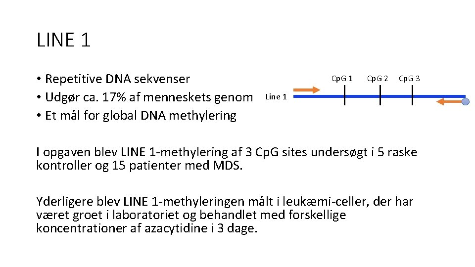 LINE 1 • Repetitive DNA sekvenser • Udgør ca. 17% af menneskets genom •