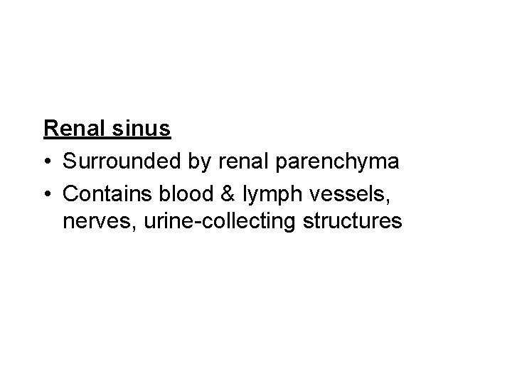 Renal sinus • Surrounded by renal parenchyma • Contains blood & lymph vessels, nerves,