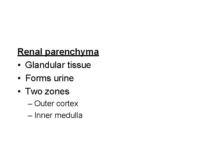 Renal parenchyma • Glandular tissue • Forms urine • Two zones – Outer cortex