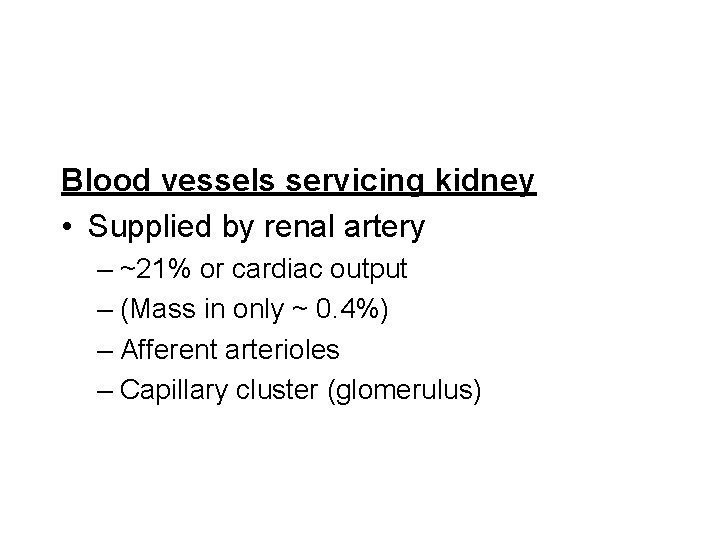 Blood vessels servicing kidney • Supplied by renal artery – ~21% or cardiac output