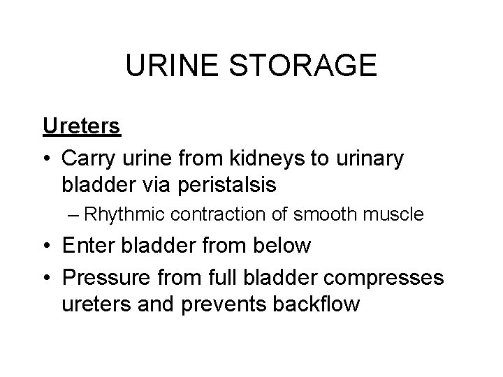 URINE STORAGE Ureters • Carry urine from kidneys to urinary bladder via peristalsis –