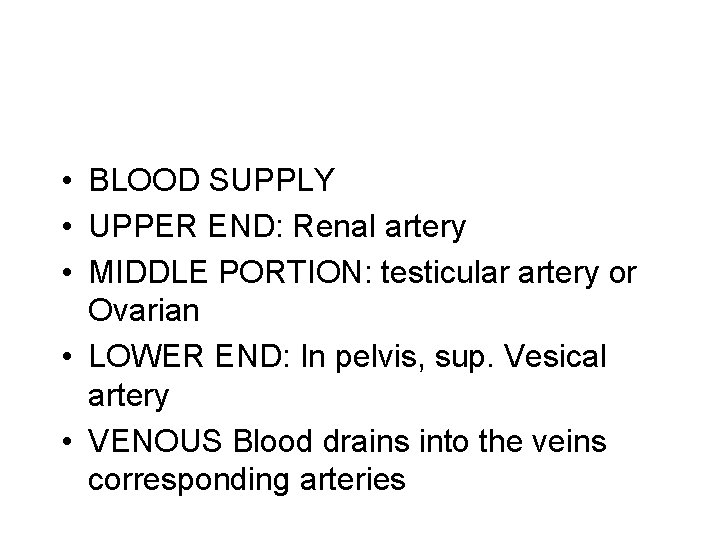  • BLOOD SUPPLY • UPPER END: Renal artery • MIDDLE PORTION: testicular artery