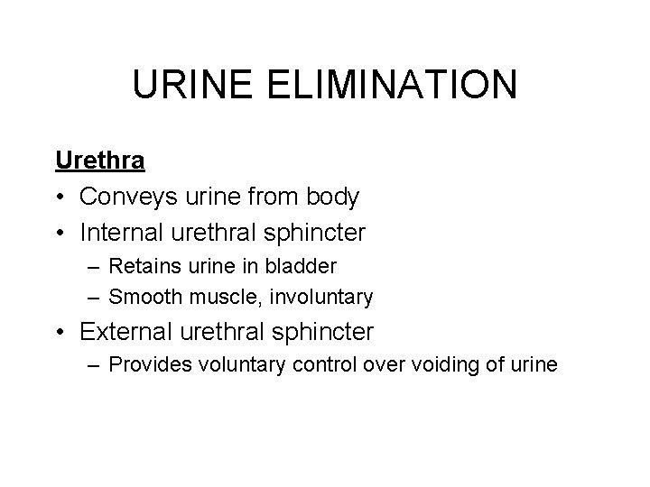 URINE ELIMINATION Urethra • Conveys urine from body • Internal urethral sphincter – Retains