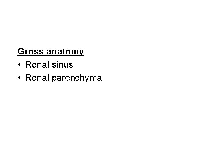 Gross anatomy • Renal sinus • Renal parenchyma 