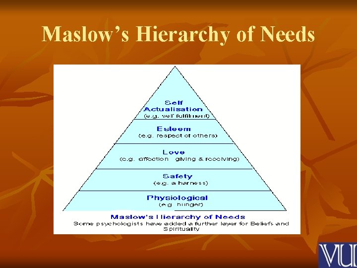 Maslow’s Hierarchy of Needs 