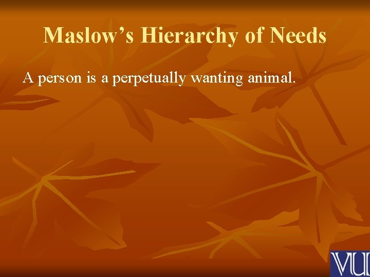 Maslow’s Hierarchy of Needs A person is a perpetually wanting animal. 