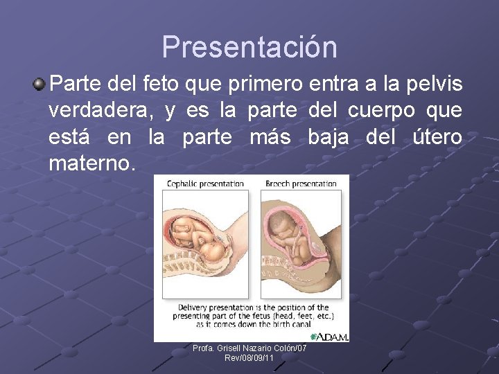 Presentación Parte del feto que primero entra a la pelvis verdadera, y es la