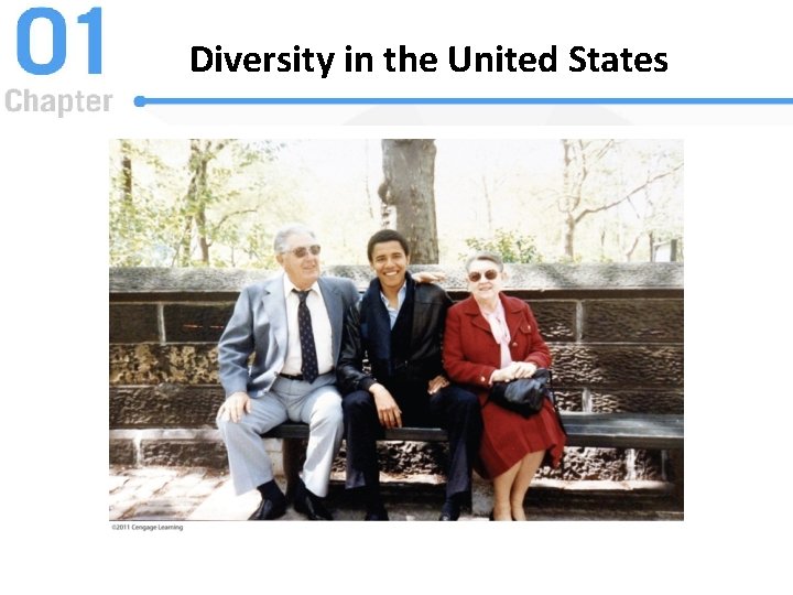 Diversity in the United States 