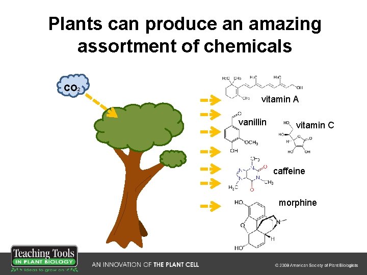Plants can produce an amazing assortment of chemicals CO 2 vitamin A vanillin vitamin