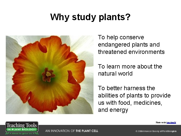 Why study plants? To help conserve endangered plants and threatened environments To learn more