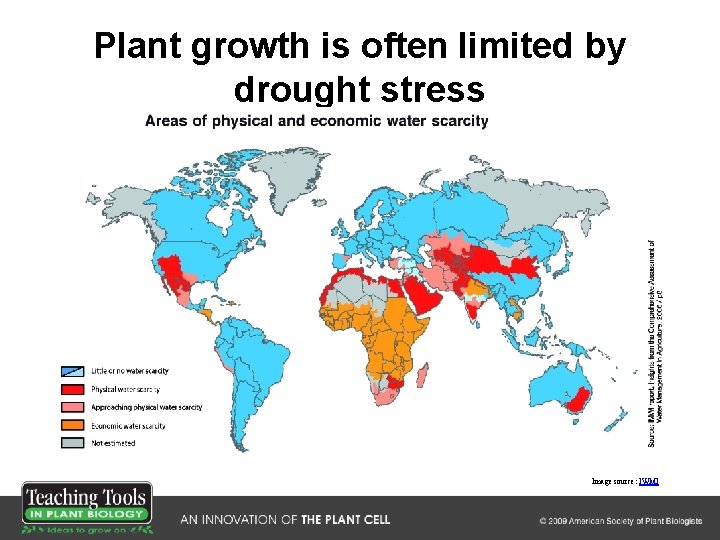 Plant growth is often limited by drought stress Image source: IWMI 