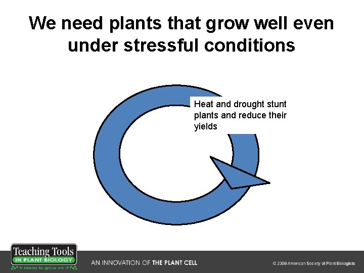 We need plants that grow well even under stressful conditions Heat and drought stunt