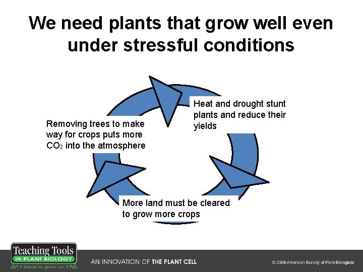 We need plants that grow well even under stressful conditions Removing trees to make