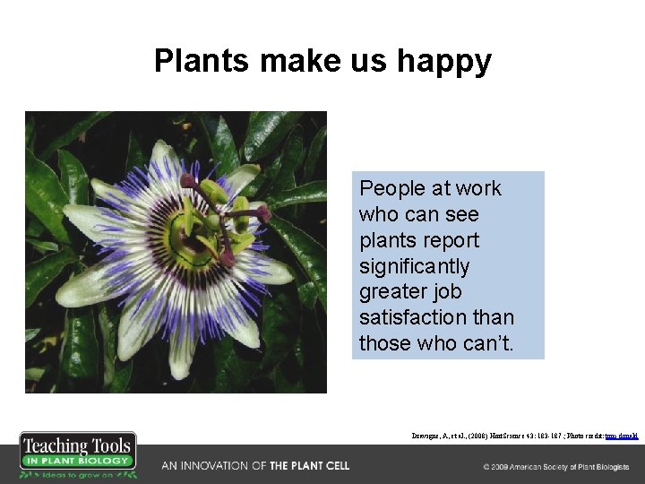 Plants make us happy People at work who can see plants report significantly greater