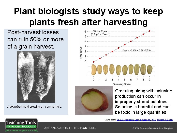 Plant biologists study ways to keep plants fresh after harvesting Post-harvest losses can ruin