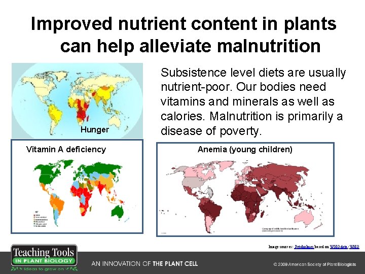 Improved nutrient content in plants can help alleviate malnutrition Hunger Vitamin A deficiency Subsistence