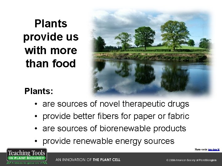 Plants provide us with more than food Plants: • are sources of novel therapeutic