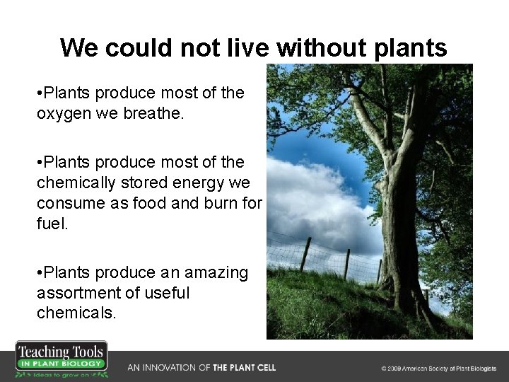 We could not live without plants • Plants produce most of the oxygen we