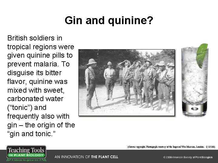 Gin and quinine? British soldiers in tropical regions were given quinine pills to prevent