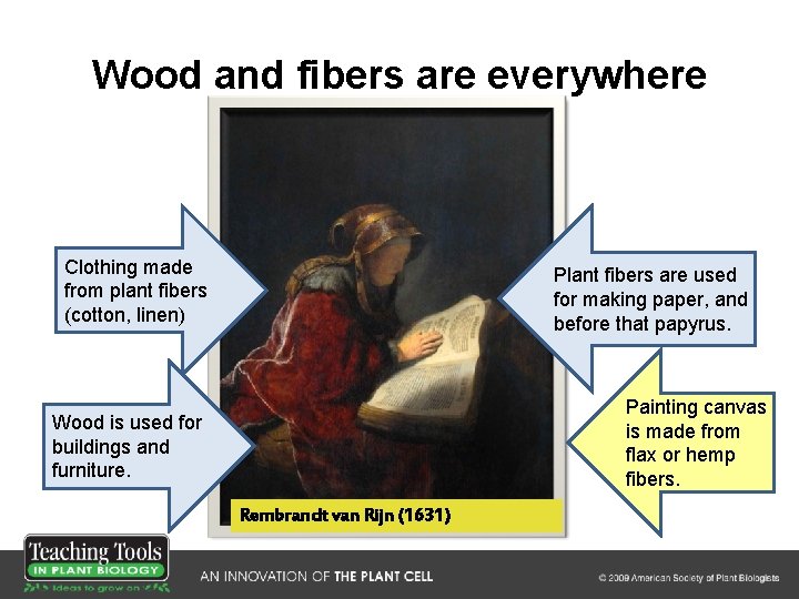 Wood and fibers are everywhere Clothing made from plant fibers (cotton, linen) Plant fibers