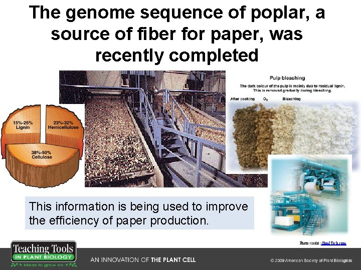 The genome sequence of poplar, a source of fiber for paper, was recently completed