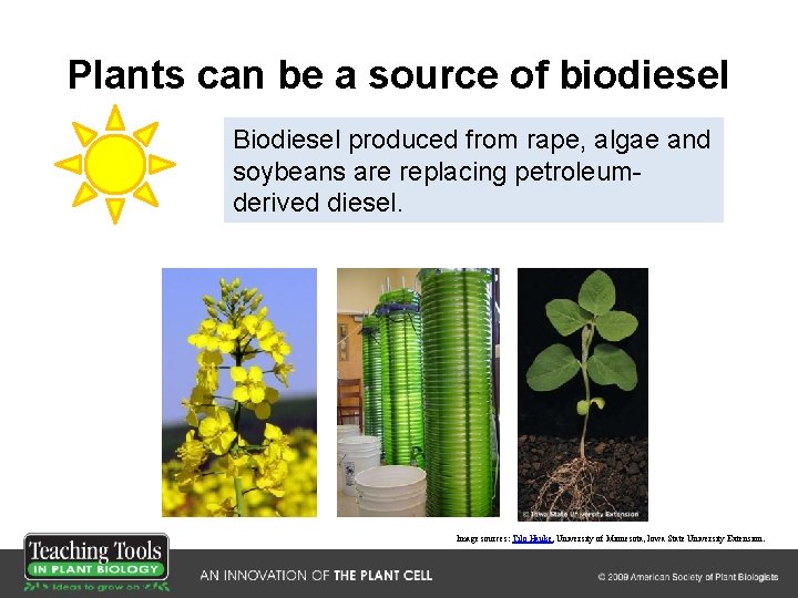 Plants can be a source of biodiesel Biodiesel produced from rape, algae and soybeans