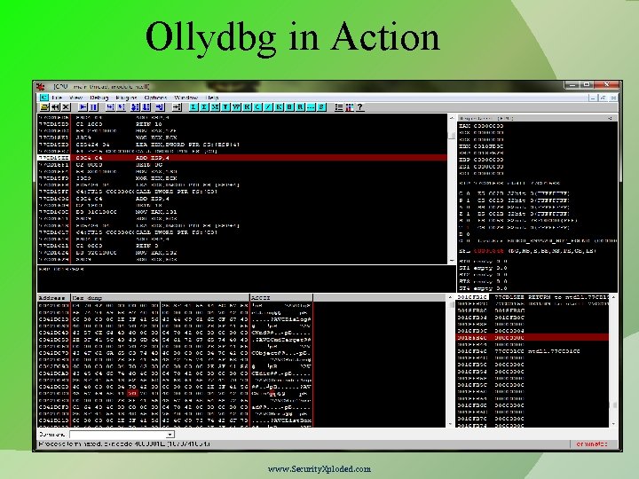 Ollydbg in Action www. Security. Xploded. com 