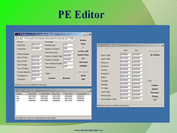 PE Editor www. Security. Xploded. com 