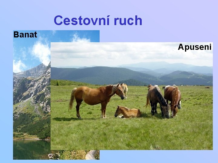 Cestovní ruch Banat Apuseni 