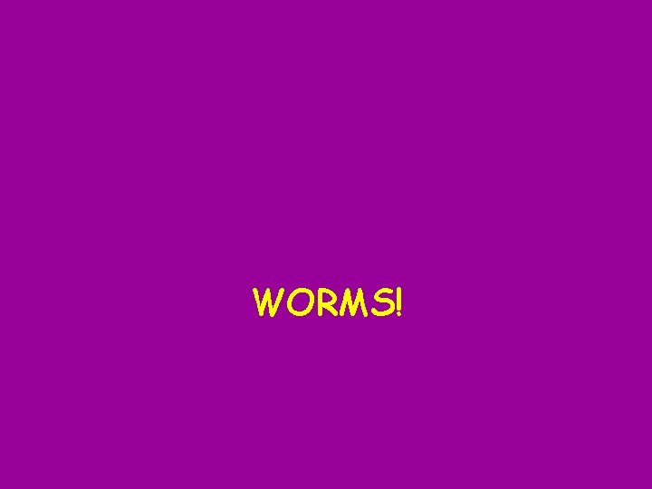 WORMS! 