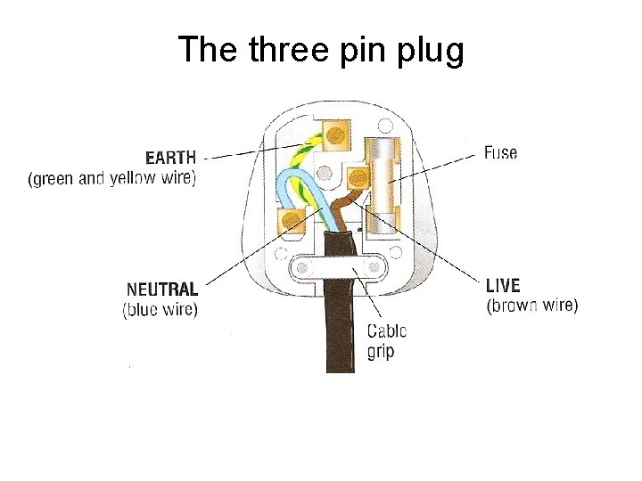 The three pin plug 