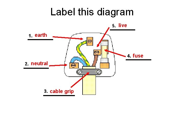Label this diagram 5. live 1. earth 4. fuse 2. neutral 3. cable grip