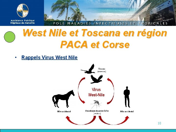 West Nile et Toscana en région PACA et Corse • Rappels Virus West Nile