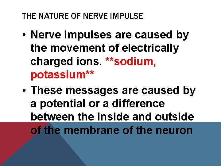 THE NATURE OF NERVE IMPULSE • Nerve impulses are caused by the movement of