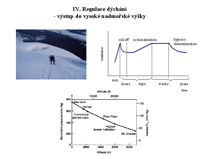 IV. Regulace dýchání - výstup do vysoké nadmořské výšky hypoxic desenzitization acclimatization ventilation roll-off