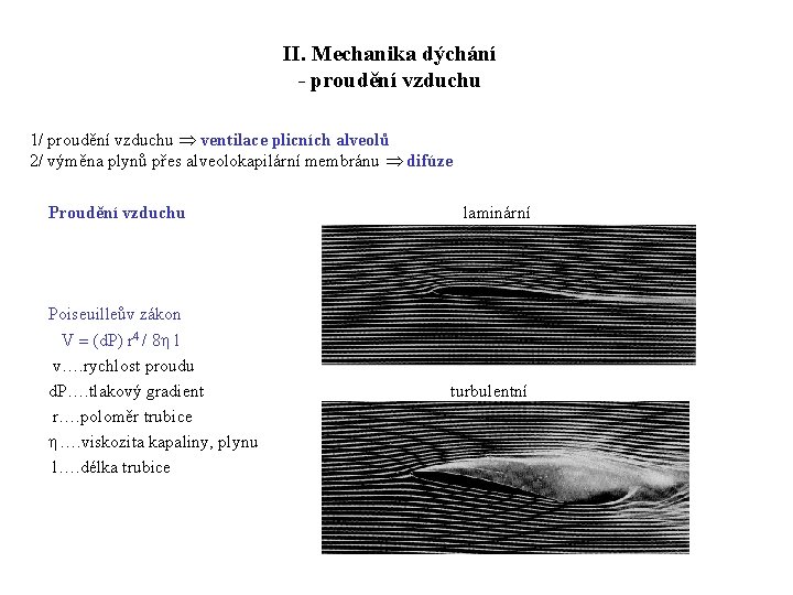 II. Mechanika dýchání - proudění vzduchu 1/ proudění vzduchu ventilace plicních alveolů 2/ výměna