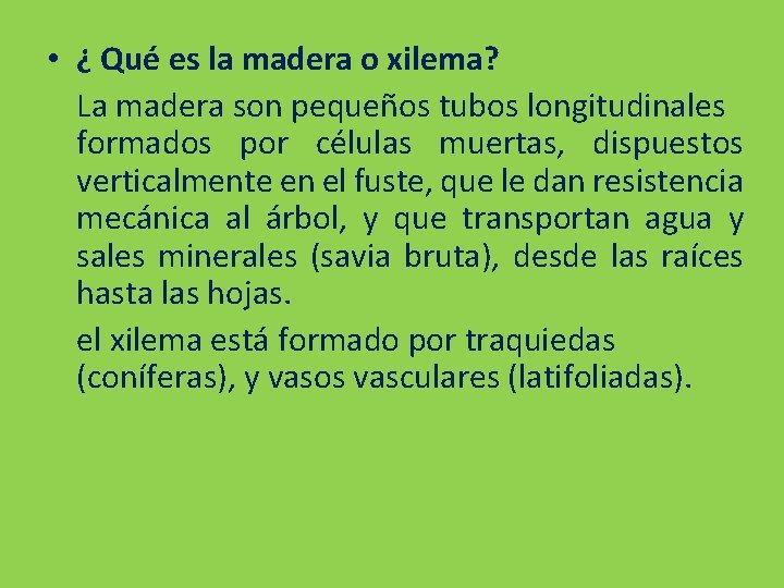  • ¿ Qué es la madera o xilema? La madera son pequeños tubos