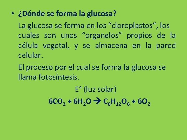  • ¿Dónde se forma la glucosa? La glucosa se forma en los “cloroplastos”,