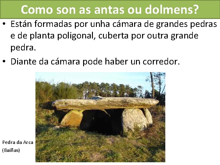 Como son as antas ou dolmens? • Están formadas por unha cámara de grandes