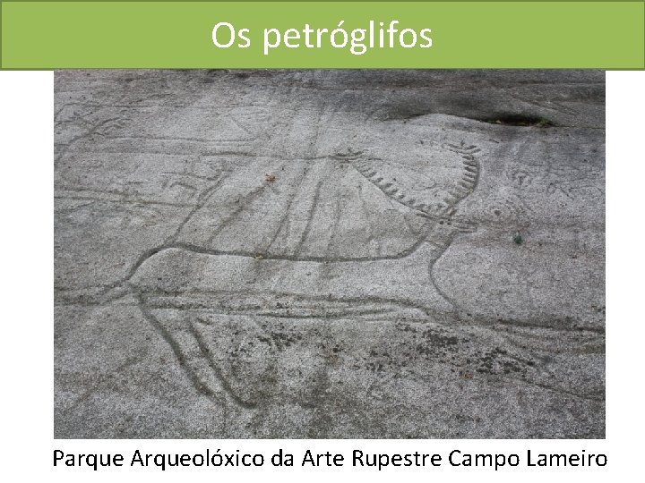 Os petróglifos Parque Arqueolóxico da Arte Rupestre Campo Lameiro 