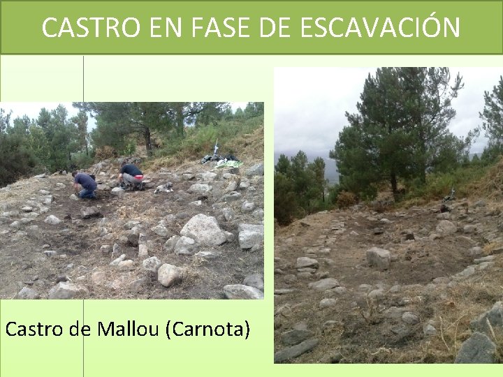 CASTRO EN FASE DE ESCAVACIÓN Castro de Mallou (Carnota) 