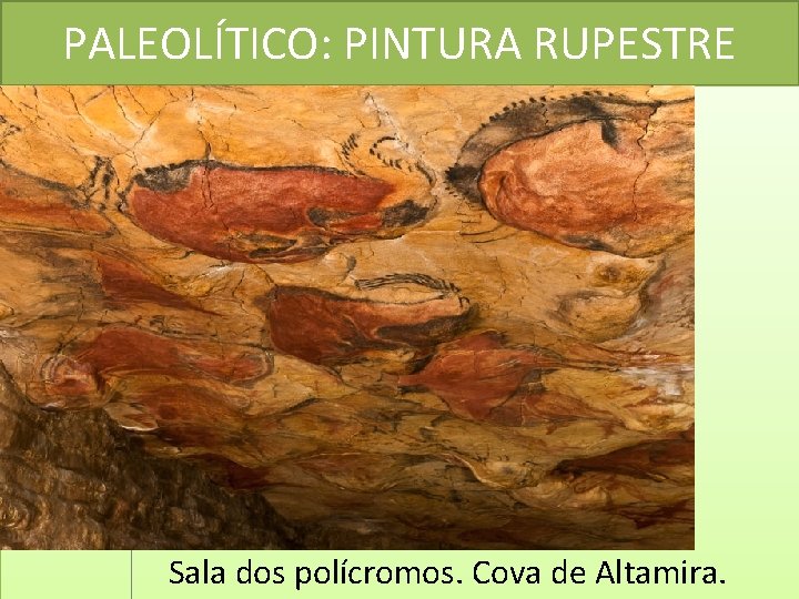 PALEOLÍTICO: PINTURA RUPESTRE Sala dos polícromos. Cova de Altamira. 