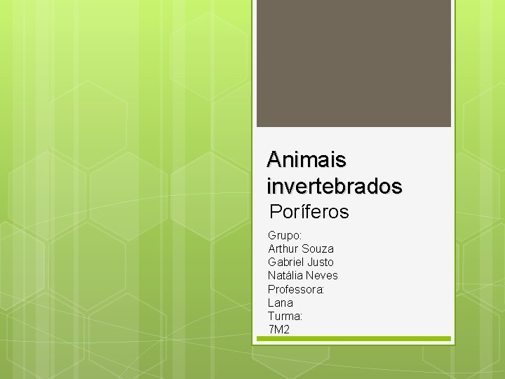 Animais invertebrados Poríferos Grupo: Arthur Souza Gabriel Justo Natália Neves Professora: Lana Turma: 7