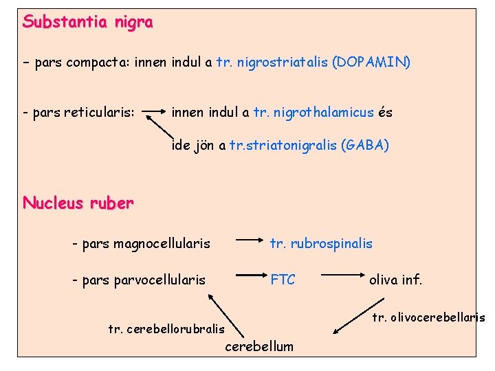 Substantia nigra - pars compacta: innen indul a tr. nigrostriatalis (DOPAMIN) - pars reticularis: